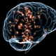 Illustration for article titled Is Emotion Training the Next Brain Training? Lets Hope Not